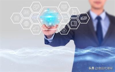 SEO軟件代理服務詳解 2024年核心概念、運作模式與價值解析